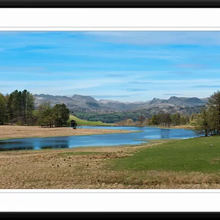 Primrose * Tebay (Cumbria)